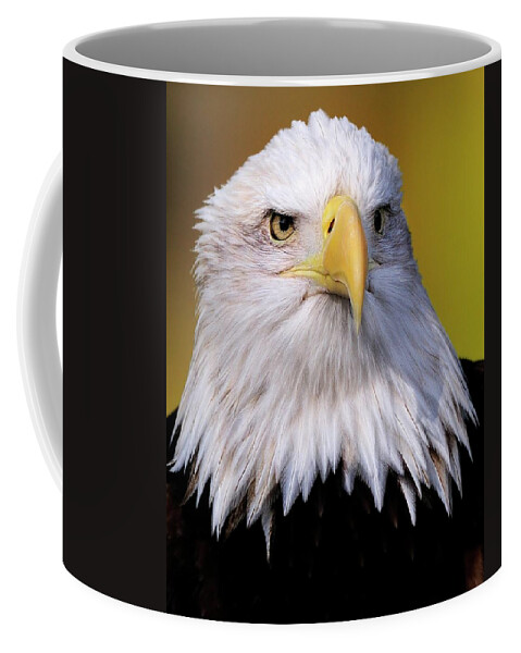Baldeagle Coffee Mug featuring the photograph Portrait of a Bald Eagle by Bill Dodsworth