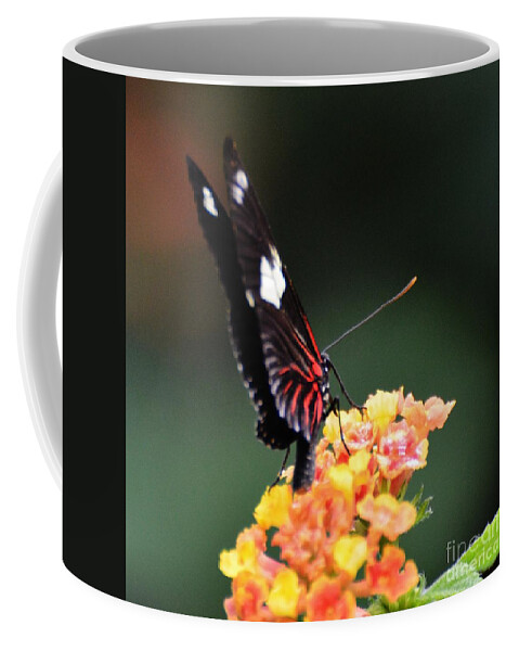 Butterfly Coffee Mug featuring the photograph Postman by Paulina Roybal