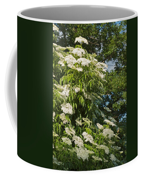 Flower Coffee Mug featuring the photograph Potchen's Cascade by Joseph Yarbrough