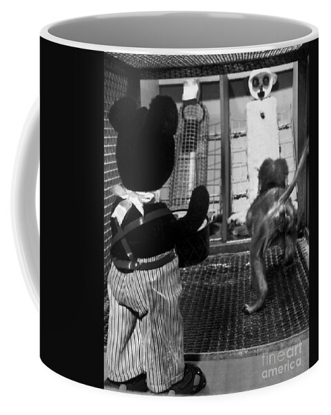Animal Research Coffee Mug featuring the photograph Primate Fear Testing by Science Source
