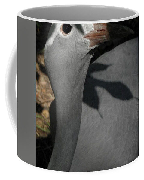 Bird Coffee Mug featuring the photograph psst I see you by Kim Galluzzo Wozniak