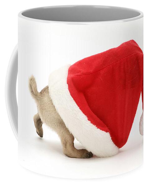 Animal Coffee Mug featuring the photograph Pug Puppy by Jane Burton