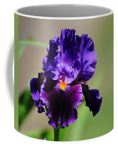 Beautiful Iris Coffee Mug featuring the photograph Purple and Orange Iris 2 by Jai Johnson