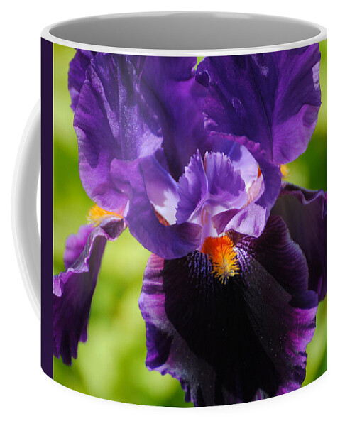 Beautiful Iris Coffee Mug featuring the photograph Purple and Orange Iris 3 by Jai Johnson