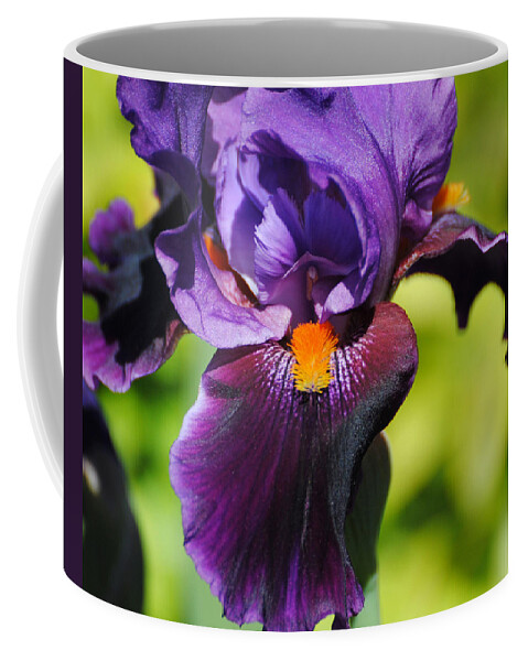 Beautiful Iris Coffee Mug featuring the photograph Purple and Orange Iris II by Jai Johnson