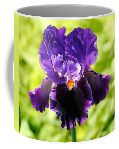 Flower Coffee Mug featuring the photograph Purple and Orange Iris by Jai Johnson