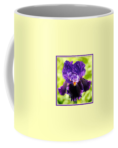 Flower Coffee Mug featuring the photograph Purple and Orange Iris Photo Square by Jai Johnson