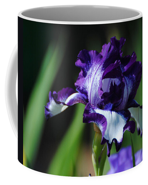 Beautiful Coffee Mug featuring the photograph Purple and White Iris by Jai Johnson