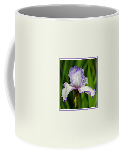 beautiful Iris Coffee Mug featuring the photograph Purple and White Iris Photo Square by Jai Johnson
