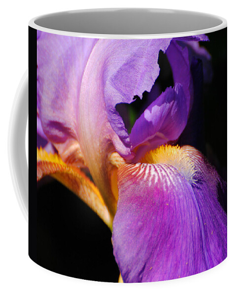 Beautiful Iris Coffee Mug featuring the photograph Purple and Yellow Iris Close Up II by Jai Johnson
