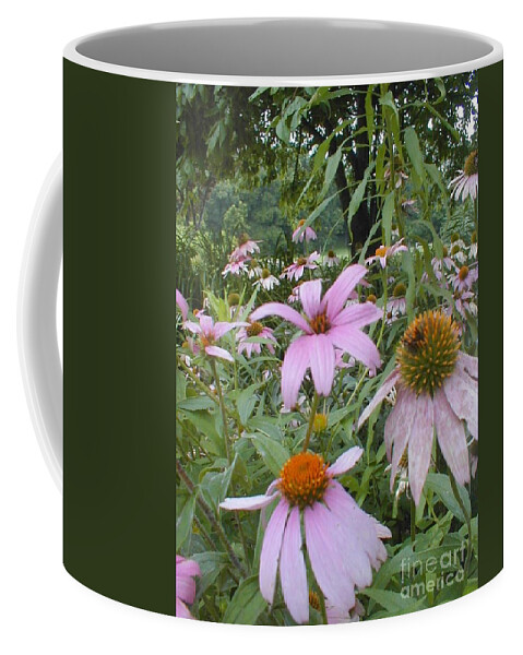 Flowers Coffee Mug featuring the photograph Purple Coneflowers by Vonda Lawson-Rosa