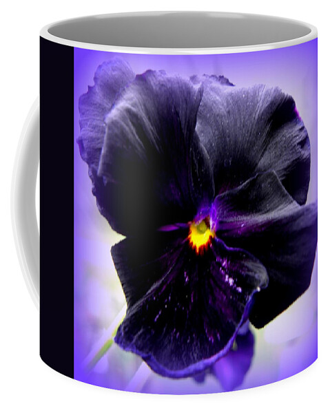Pansy Coffee Mug featuring the photograph Purple Majesty by Kim Galluzzo
