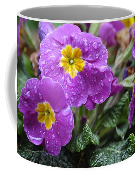 Primula Coffee Mug featuring the photograph Purple Rain by Rob Hemphill