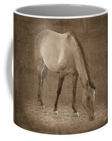 Horse Coffee Mug featuring the photograph Quarter Horse in Sepia by Betty LaRue