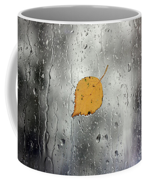 Leaf Coffee Mug featuring the photograph Rain on window with leaf by Simon Bratt