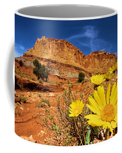 Yellow Flowers Coffee Mug featuring the photograph Rainbow Garden by Adam Jewell