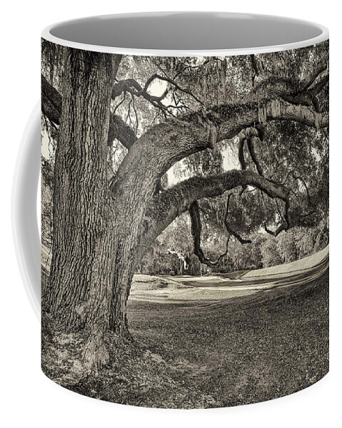 Beaufort County Coffee Mug featuring the photograph Reaching Out by Phill Doherty