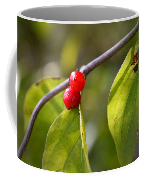 Fruits Coffee Mug featuring the photograph Red Fruits by Milena Ilieva
