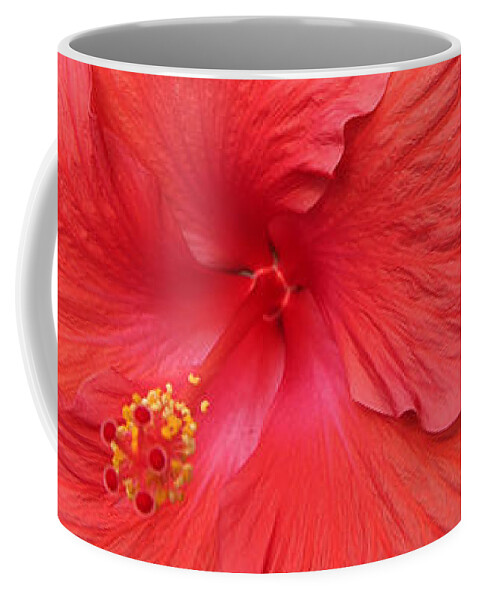 Hibiscus Coffee Mug featuring the photograph Red Hibiscus by Debra Martelli