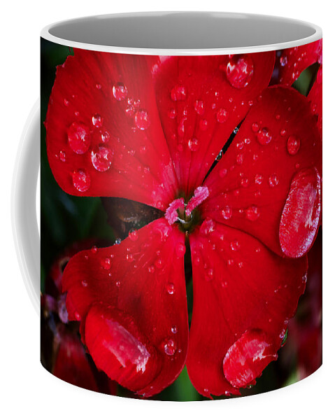 Red Coffee Mug featuring the photograph Red by Ivan Slosar