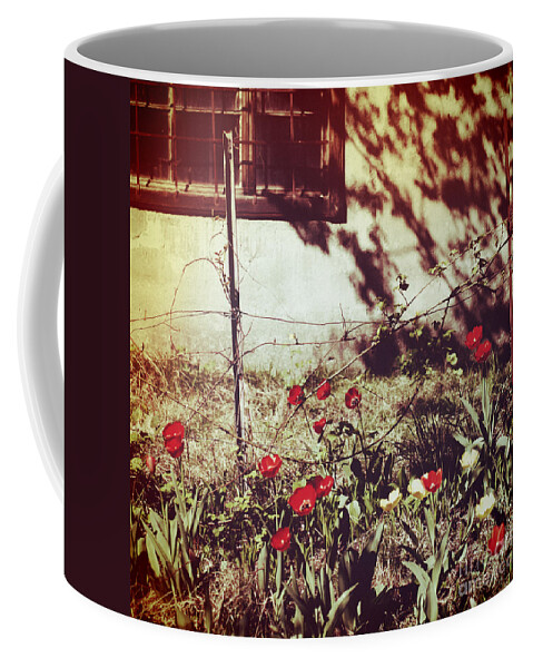 Tulips Coffee Mug featuring the photograph Red tulips and window by Silvia Ganora