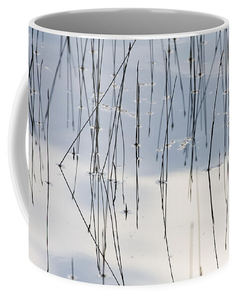 00448415 Coffee Mug featuring the photograph Reeds And Reflections Grand Teton by Sebastian Kennerknecht