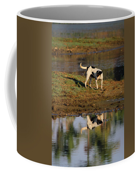 Reflection Coffee Mug featuring the photograph Reflection by SAURAVphoto Online Store