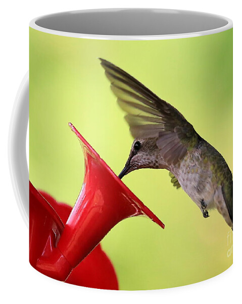 Hummingbird Coffee Mug featuring the photograph Refreshing Dip by Carol Groenen