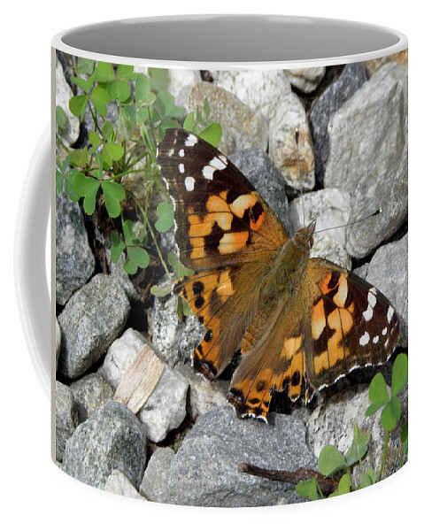 Butterfly Coffee Mug featuring the photograph Resting On Rocky Clovers by Kim Galluzzo Wozniak