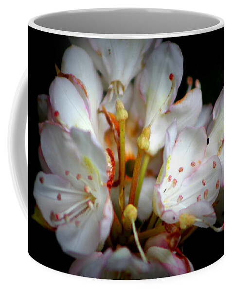 Rhododendron Coffee Mug featuring the photograph Rhododendron Explosion by Deborah Crew-Johnson