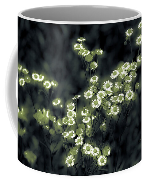  Coffee Mug featuring the photograph Roadside Wildflower Glow by DigiArt Diaries by Vicky B Fuller