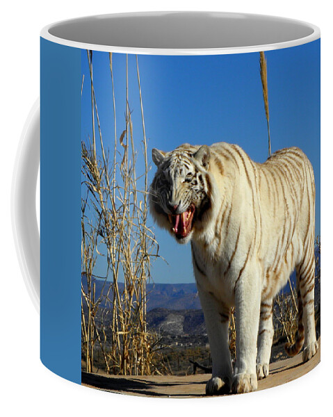 Tiger Coffee Mug featuring the photograph Roar by Kim Galluzzo