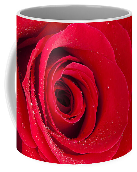 Flower Coffee Mug featuring the photograph Rose Macro Wet 1 B by John Brueske