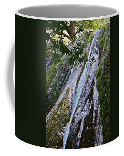 Waterfalls Coffee Mug featuring the photograph Rose Valley Falls by Diana Hatcher