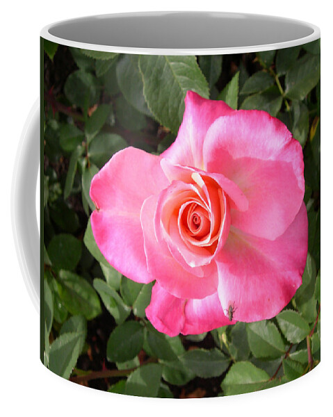 rose With Fly Coffee Mug featuring the digital art Rose with fly by Claude McCoy