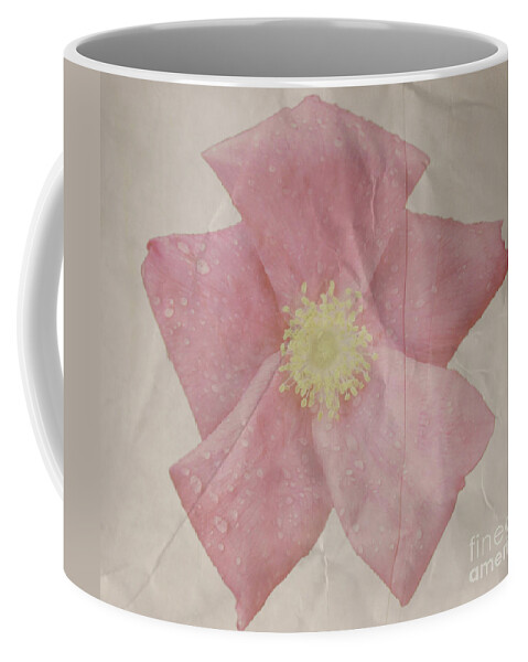Rose Coffee Mug featuring the photograph Rosey by Heather Applegate