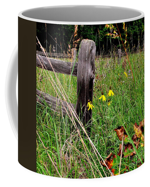 Old Fence Coffee Mug featuring the photograph Rustic Road Charm by Marilyn Smith