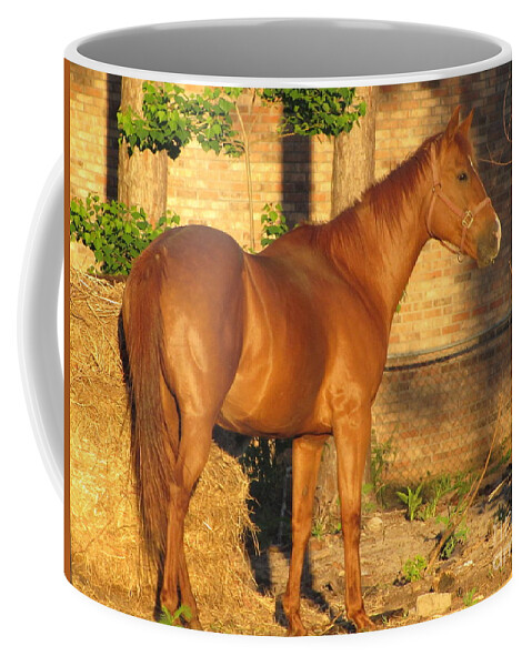 Horse Coffee Mug featuring the photograph Rusty standing proud by Michelle Powell