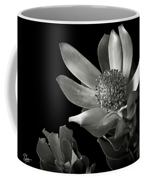 Flower Coffee Mug featuring the photograph Safari Sunset in Black and White by Endre Balogh