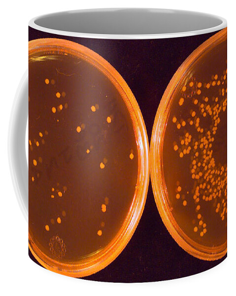 Salmonella Coffee Mug featuring the photograph Salmonella by Science Source