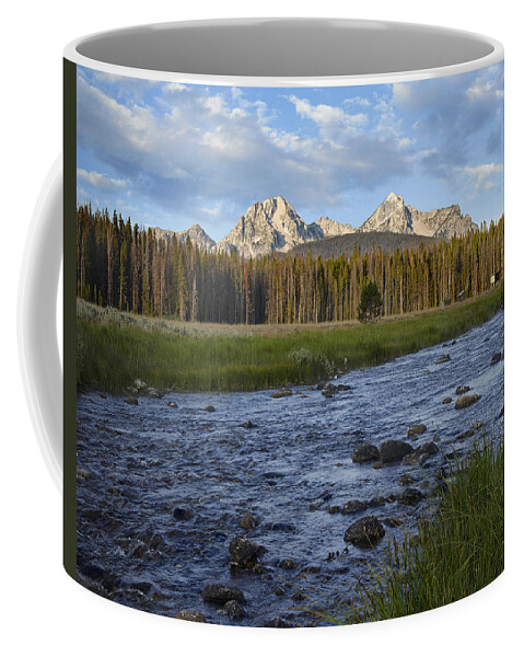 00437800 Coffee Mug featuring the photograph Sawtooth Range And Stanley Lake Creek by Tim Fitzharris