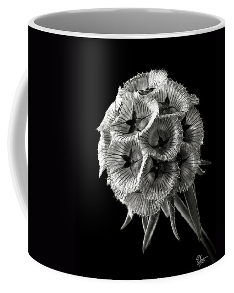 Flower Coffee Mug featuring the photograph Scabiosa in Black and White by Endre Balogh