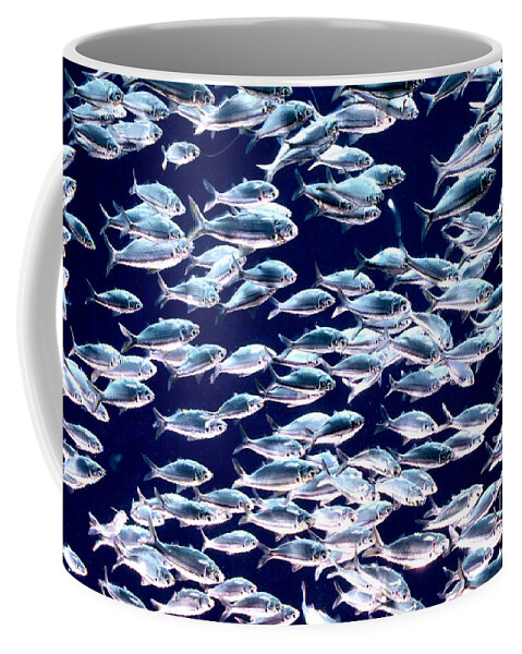 Horizontal Coffee Mug featuring the photograph School of Threadfin Shad by Tom McHugh and Photo Researchers