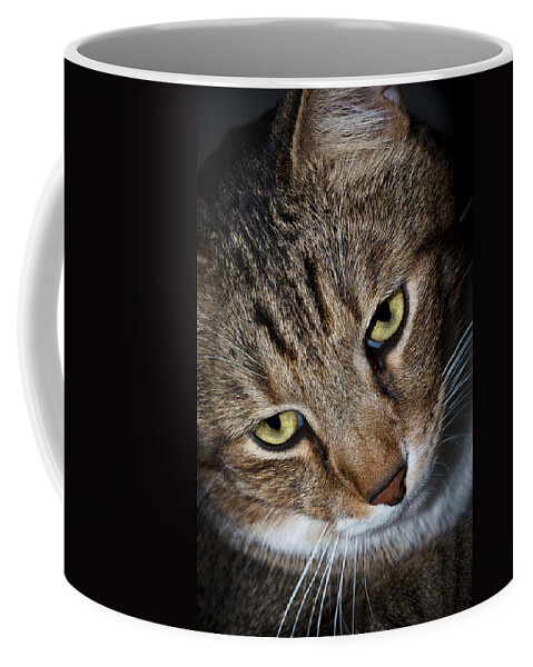 Animal Coffee Mug featuring the photograph Scooter by Doug Long