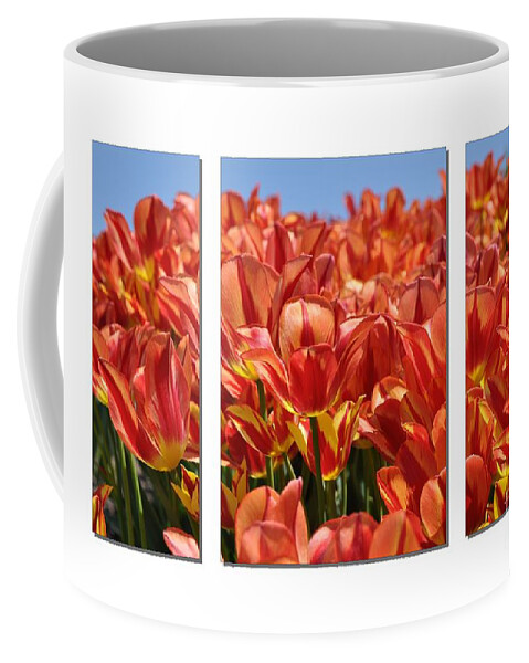 Flowers Coffee Mug featuring the photograph Sea of Tulips by Elaine Manley