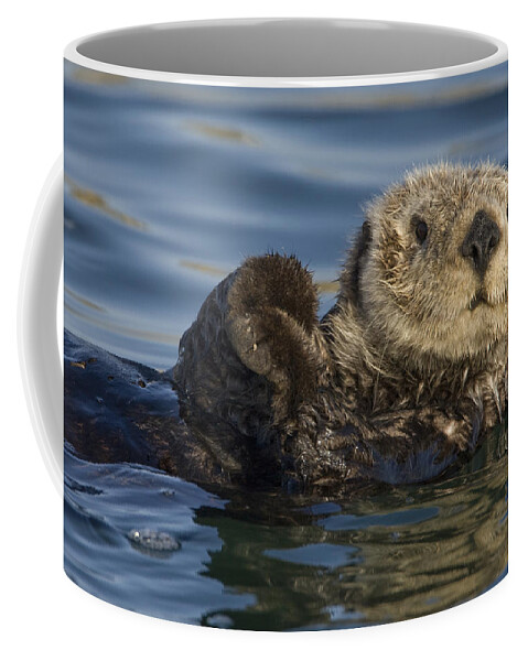 00438490 Coffee Mug featuring the photograph Sea Otter Monterey Bay California by Suzi Eszterhas