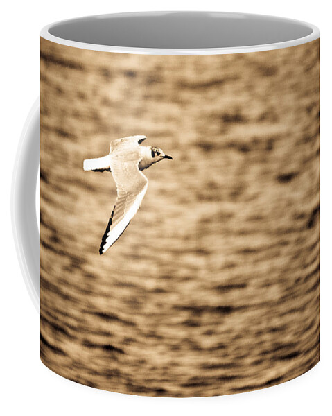 Seagulls Coffee Mug featuring the photograph Seagull Antiqued by Michelle Joseph-Long