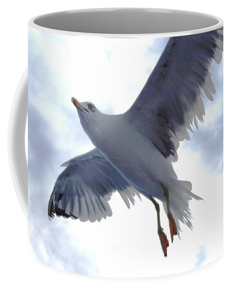 Seagull Coffee Mug featuring the photograph Seagull over Adriatic Sea 2 by Amalia Suruceanu