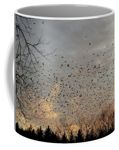 Black Birds Coffee Mug featuring the photograph Searching by Kim Galluzzo Wozniak