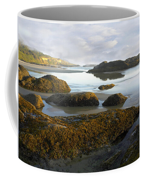 00175330 Coffee Mug featuring the photograph Low Tide at Neptune Beach by Tim Fitzharris